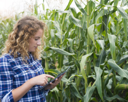 Em Pontes e Lacerda, especialistas vão debater relações internacionais e comunicação agro